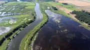 Peene-Radweg: Entdeckungstour am Amazonas des Nordens