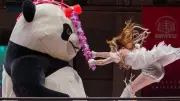 Pelziger Wrestler: Dieser Riesen-Panda ist in Japan ein absoluter Star