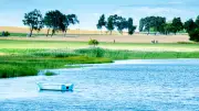 Poel: Geheimtipp in der Ostsee kämpft mit Klimawandel und Politik