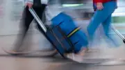 Possum zwischen Plüschtieren: Ungewöhnlicher Fund im australischen Flughafenladen