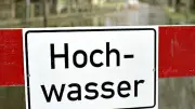 Protest gegen Hochwasserschutz-Pläne im Selketal: Meisdorfer starten Petition