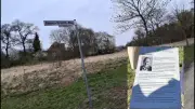 Rainer-Prachtl-Weg in Neubrandenburg: Informationsstele nach Einweihung entfernt
