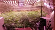 Razzia in Bulgarien: Cannabis-Plantage in alter Mine entdeckt