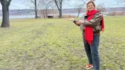 Regionalmarkt in Aseleben: TV-Bauer und Fischer locken Besucher