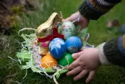 Regnerische Ostern in Niedersachsen und Bremen: Stürmische Böen und wechselhaftes Wetter