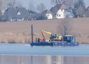 Rettungsversuch für gestrandeten Buckelwal: Schwimmplattform nähert sich erneut