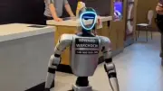 Roboter-Influencer wird zum TikTok-Star: KI-Helfer vertreibt Wildschweine von Straßen