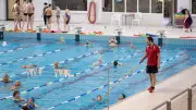 Rostock setzt auf neue Schwimmhalle statt zweiter Eishalle am Hamburger Tor