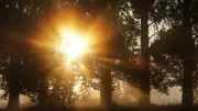 Rätselhafter Rettungseinsatz im Harz: Wer zahlt für Hubschrauber, Bergwacht und Feuerwehr?