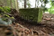 Sachsens Grünes Band wird Nationales Naturmonument