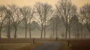 Saharastaub im Regen: Seltenes Wetterphänomen färbt Niederschlag in Mecklenburg-Vorpommern