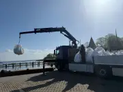 Sandsäcke schützen gestrandeten Wal vor Flachwasserzone