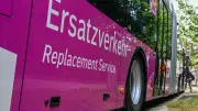 Schienenersatzverkehr-Bus touchiert Baum: Fahrer flüchtet