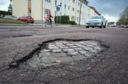 Schlagloch-Atlas für Halle wächst rasant: Über 50 Meldungen von Bürgern dokumentieren Straßenschäden