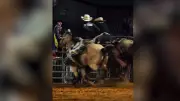Schock in den USA: Rodeo-Star von Pferden niedergetrampelt - Video geht viral