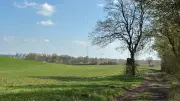 Schrecklicher Fund in der Uckermark: Menschliche Überreste am Feldrand entdeckt