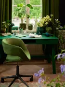 Schreibtischpflanze: Diese 3 Gewächse überleben Ihr Homeoffice