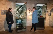 Schwarz-Weiß-Schatz auf Schloss Neuenburg: Foto-Ausstellung zeigt 200 Jahre Freyburger Geschichte