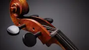 Sechsjähriges Cello-Wunderkind spielt Vivaldi unter Taufengel in Malchow