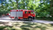 Sehr hohe Waldbrandgefahr in der Pfalz: Wetterdienst warnt