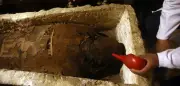 Sensationeller Fund in Ägypten: Homer-Fragment in Mumie entdeckt