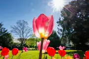 Sonne und Feiertag locken viele Touristen nach Niedersachsen