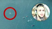 Spektakuläre Rettung aus der Luft: BILD-Reporterin begleitet Buckelwal Timmy über Wismarer Bucht