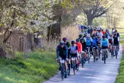 Spreewald-Marathon lockt 15.000 Teilnehmer: Goldene Gurke als begehrte Trophäe