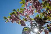 Stabiles Sommerwetter bis zum 1. Mai – Regen bleibt aus