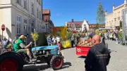 Sternberg startet Frühjahrsputz-Aktion für perfektes Rapsblütenfest 2026