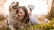 Studie: Fünf Minuten Spielen stärken Bindung zum Hund mehr als Training