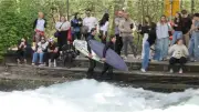 Surfer reparieren den Eisbach: Comeback für Münchens Kult-Welle in Sicht?