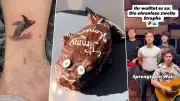 Tattoos, Torten und Titel: Timmy treibt das Netz in den Walsinn