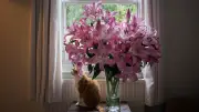 Tödliche Gefahr für Katzen: Schon wenige Lilien-Pollen können akutes Nierenversagen auslösen