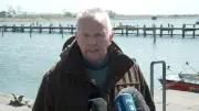 Till Backhaus: Altes Walrettungskonzept gescheitert – Timmy weiter in Not