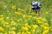 Tour de Romandie: Lipowitz startet stark – nur drei Sekunden hinter Pogacar