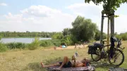 Tourismus-Boom in Halle: 61 Ferienhäuser am Hufeisensee geplant – Konflikt mit Logistikunternehmen