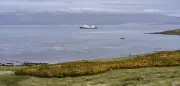 Trump-Regierung überdenkt Falkland-Haltung: Neue Spannungen im Südatlantik