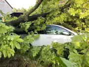Unwetterschäden an Autos in Berlin und Brandenburg 2025 deutlich gesunken