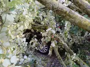 Unwetterschäden an Autos in Thüringen 2025 deutlich gesunken – Experten warnen vor Entwarnung