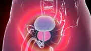 Urologische Tipps: So bleibt die Prostata bis ins Alter gesund und fit