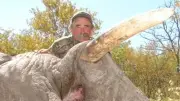 US-Millionär bei Großwildjagd von Elefanten getötet