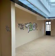 Vandalismus und Diebstahl in Zeitz: Geklaute Klobürsten als Symptom größerer Probleme