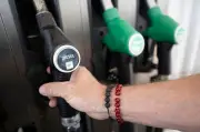 Verbraucherpreise in Sachsen-Anhalt steigen um 3,1 Prozent