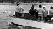 Verirrter Wal: Kuriose Rettungsaktion gab es vor 60 Jahren schon einmal