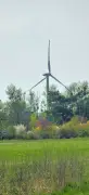 Verteilung von Windrad-Geldern in Dessau-Roßlau: Betroffene befürchten Benachteiligung