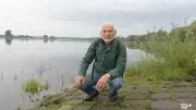 Vogelsterben alarmiert Naturschützer: Artenvielfalt in der Prignitz bedroht
