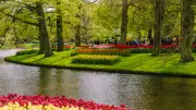 Von Holland bis Berlin: Die schönsten Tulpenziele in Europa für den Frühlingsausflug