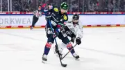 Vor DEL-Halbfinale: Eisbären-Experte Noebels erklärt den Aufschwung Berlins
