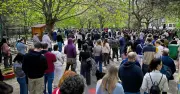 Wahllokale in Ungarn geschlossen: Rekordbeteiligung und spannendes Rennen um Orbans Nachfolge